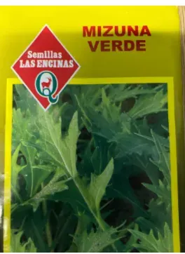 Semillas Sobre Las Encinas Mizuna Verde1