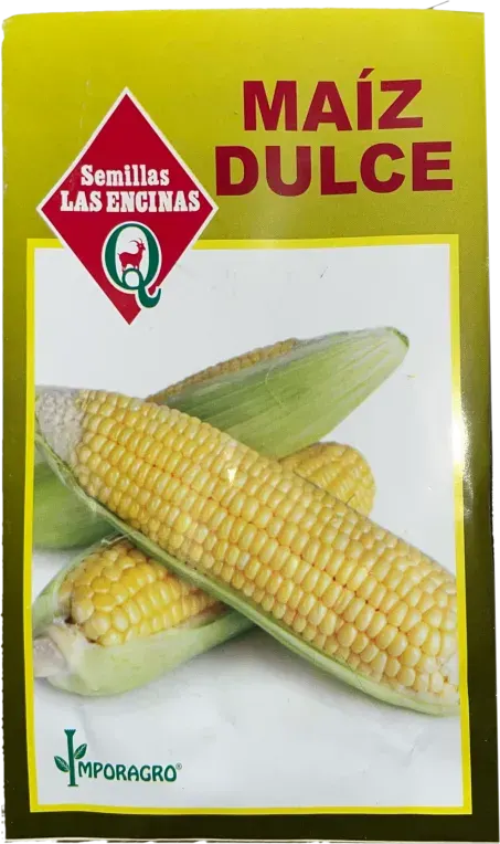 Semillas Sobre Las Encinas Maiz Dulce1