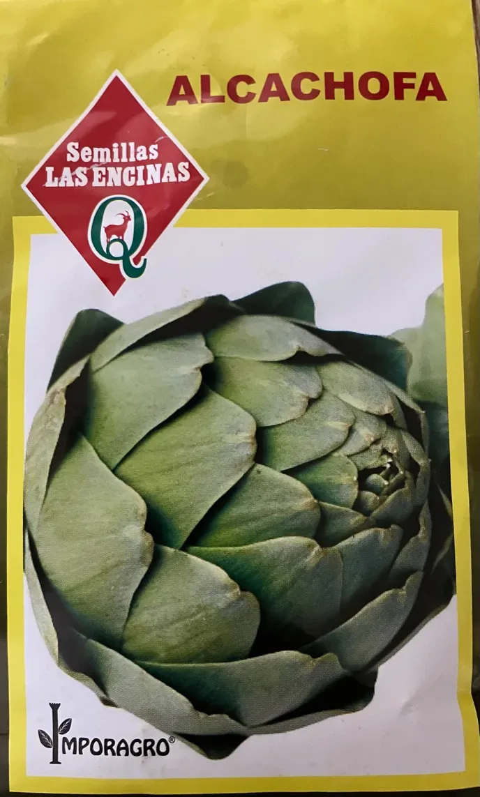 Semillas Sobre Las Encinas Alcachofa1