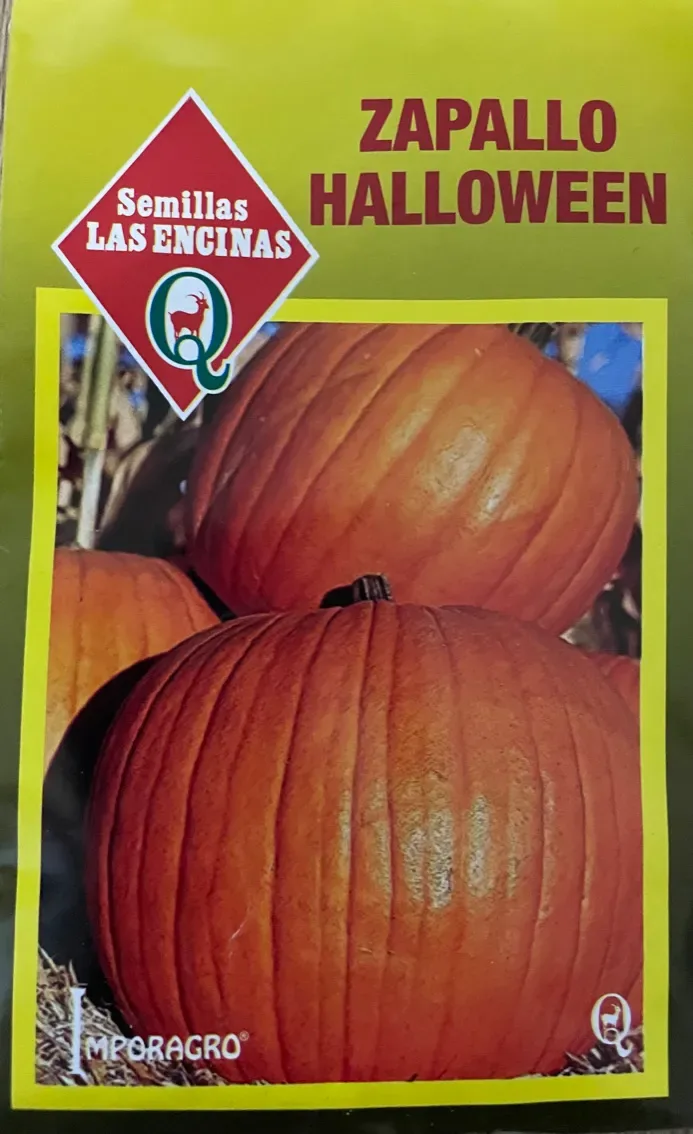 Semillas Sobre Las Encinas Zapallo Halloween1