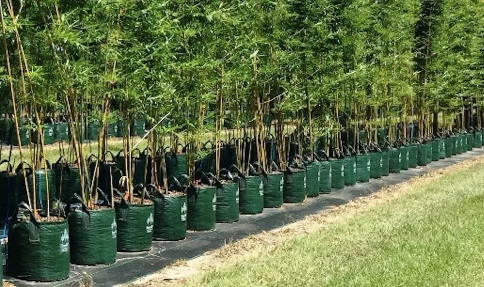 Bolsa de cultivo Grow in Bag ultra resistente 25 litros 2 asas1