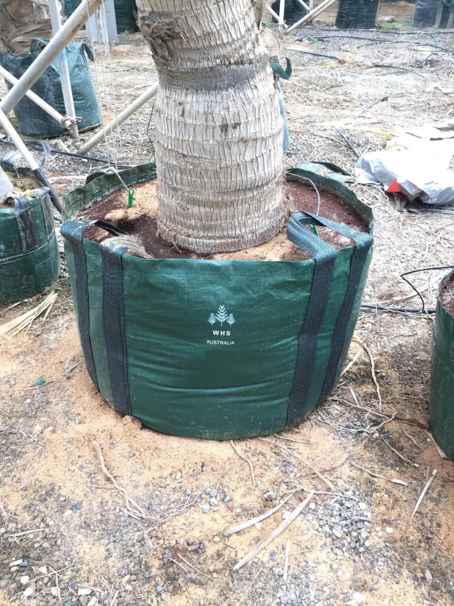 Bolsa de cultivo Grow in Bag ultra resistente 300 litros 4 asas1