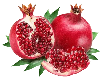 Árbol Frutal Granado Wonderful1