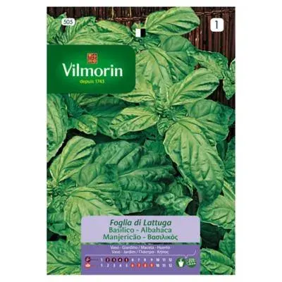 Sobre Semillas Vilmorin Albahaca Hoja de Lechuga1
