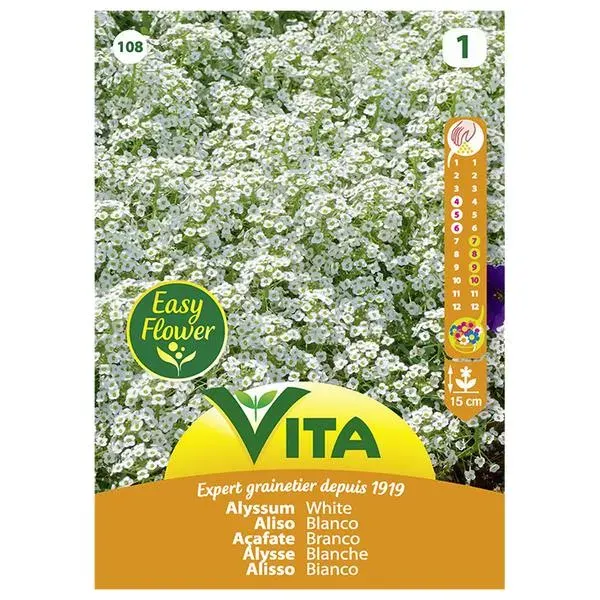 Sobre Semillas Vilmorin Aliso Blanco Vita1