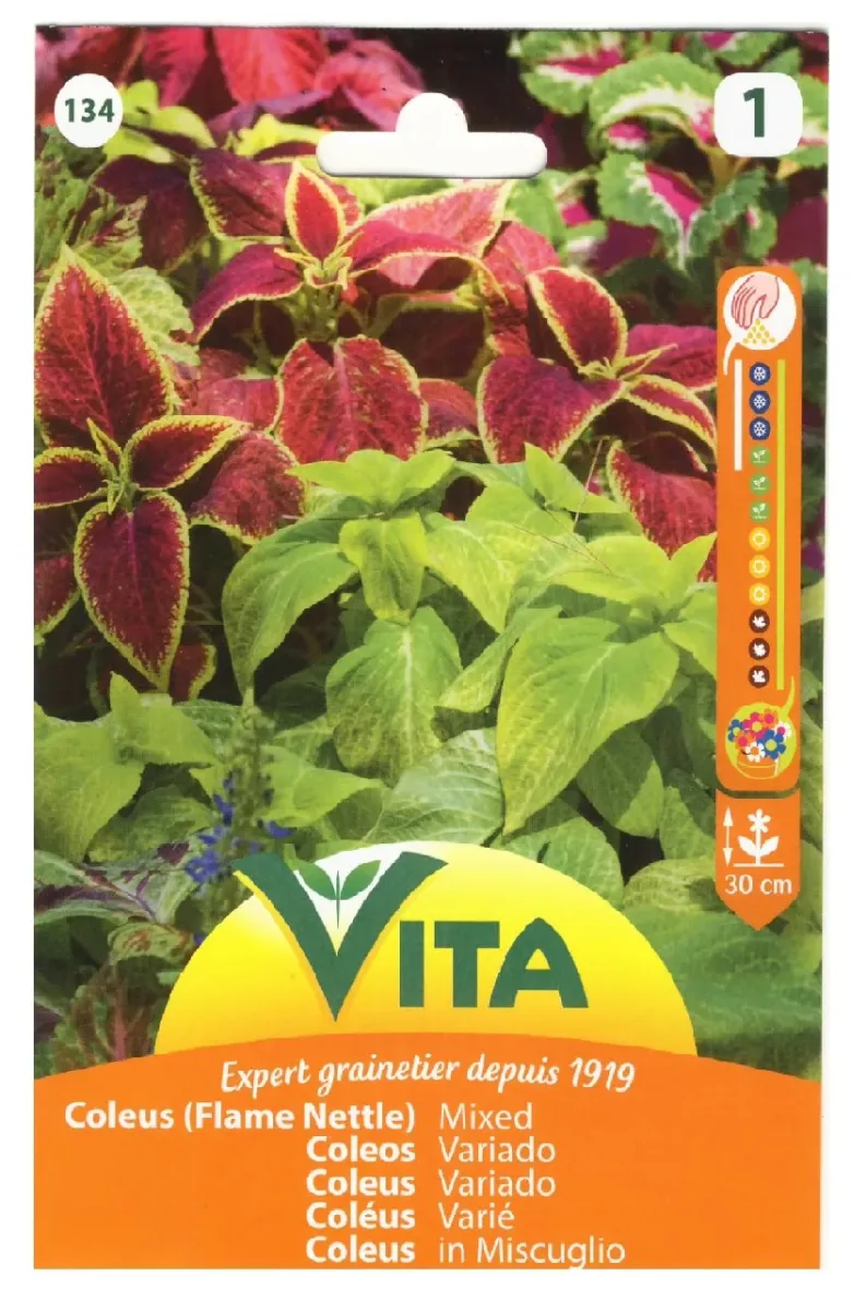 Sobre Semillas Vilmorin Coleus Variado Vita1