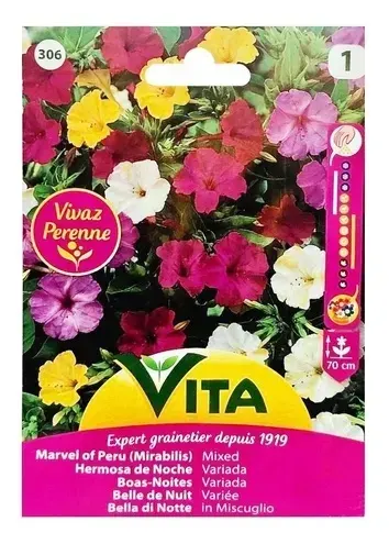 Sobre Semillas Vilmorin Flores Bella de Noche Vita1
