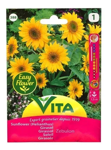 Sobre Semillas Vilmorin Girasol Helianthus1