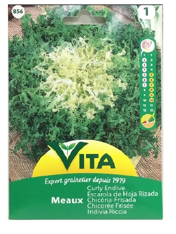 Sobre Semillas Vilmorin Achicoria Escarola Rizada Vita1