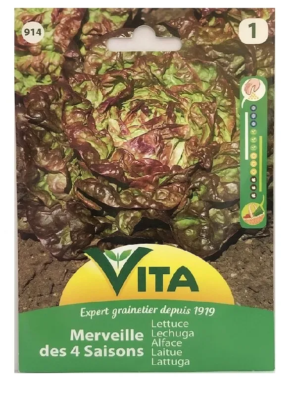 Sobre Semillas Vilmorin Lechuga Maravilla Cuatro Estaciones Vita1