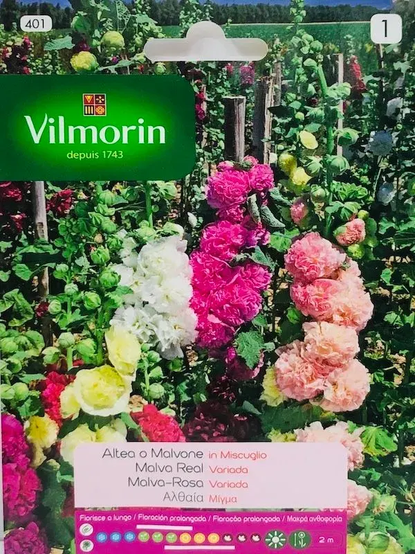Sobre Semillas Vilmorin Malva Real Vilmorin1