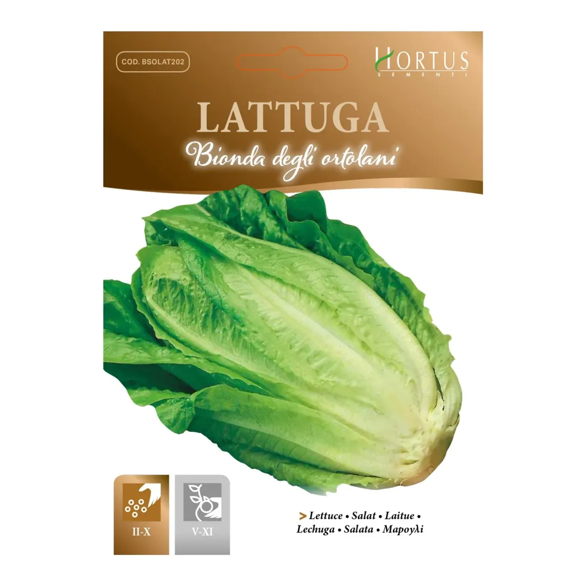 Sobre Semillas Ortovivo Lechuga Costina Rubia Hortus1
