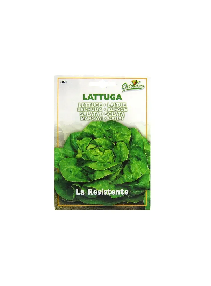 Sobre Semillas Ortovivo Lechuga Española La Resistente Hortus1