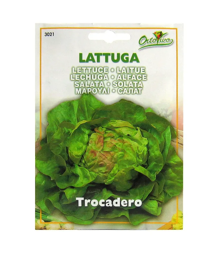 Sobre Semillas Ortovivo Lechuga Española Trocadero Hortus1