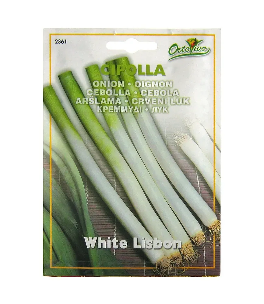 Sobre Semillas Ortovivo Cebollín Blanco de Lisboa1