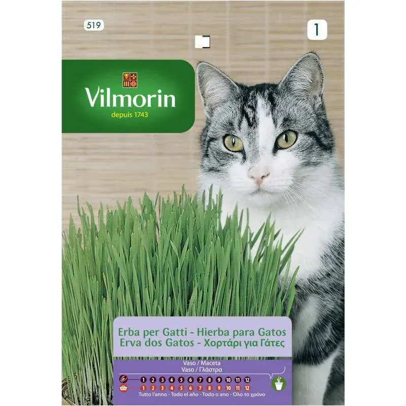 Sobre Semillas Vilmorin Hierba para gatos Vilmorin1