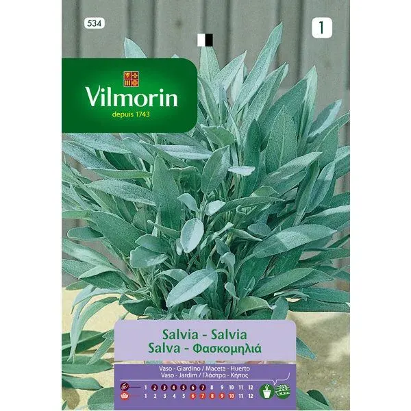 Sobre Semillas Vilmorin Salvia Vilmorin1