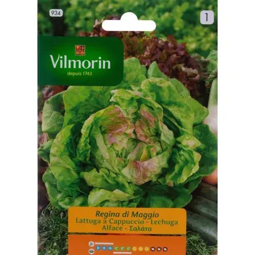 Sobre Semillas Vilmorin Lechuga Reina de Mayo Vilmorin1