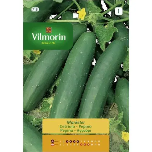 Sobre Semillas Vilmorin Pepino Marketer Vilmorin1