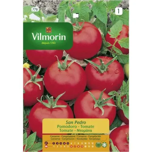 Sobre Semillas Vilmorin Tomate San Pedro Vilmorin1