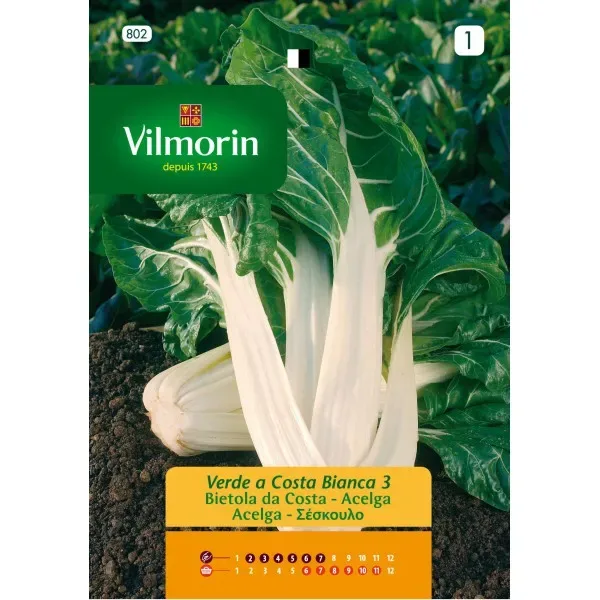 Sobre Semillas Vilmorin Acelga Verde de penca blanca Vilmorin1