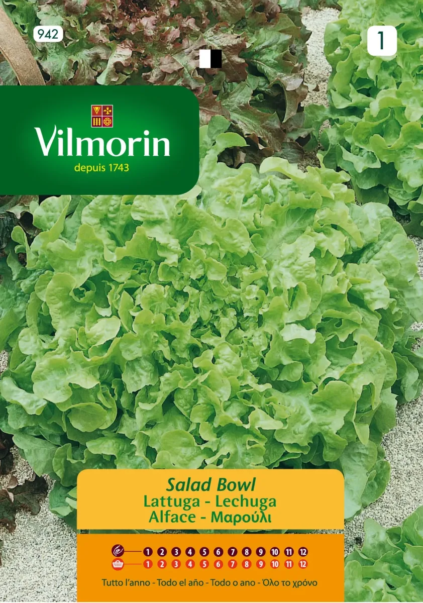 Sobre Semillas Vilmorin Lechuga Salad Bowl Vilmorin1
