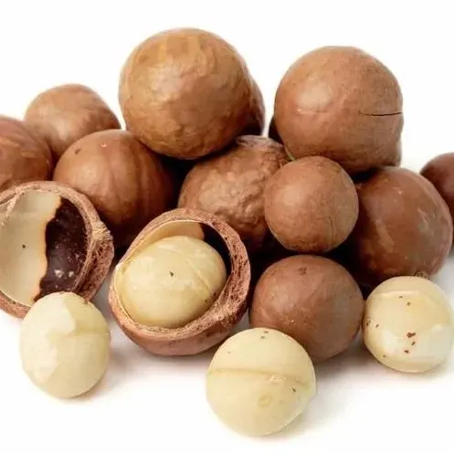 Arbol frutal Nuez Macadamia1