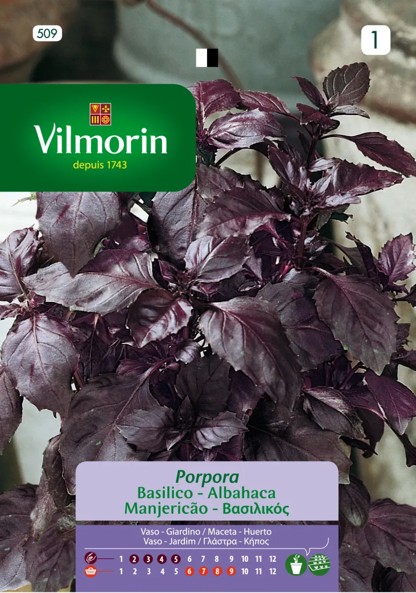 Sobre Semillas Vilmorin Albahaca Morada - Purpura1