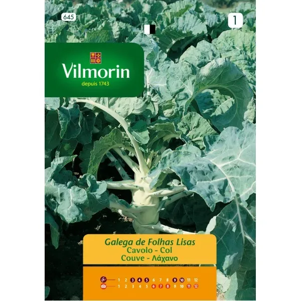 Sobre Semillas Vilmorin Col Gallega (Berza)1