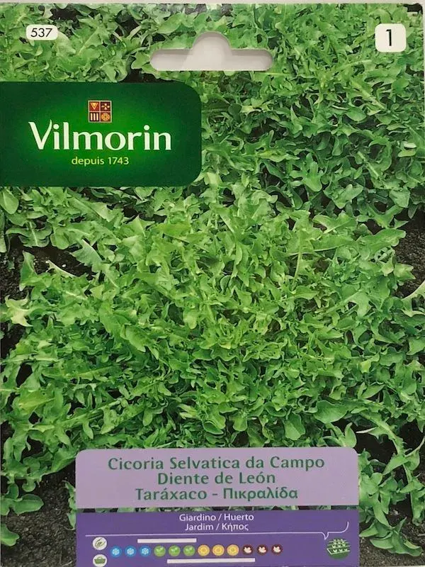 Sobre Semillas Vilmorin Diente de león (achicoria de campo)1