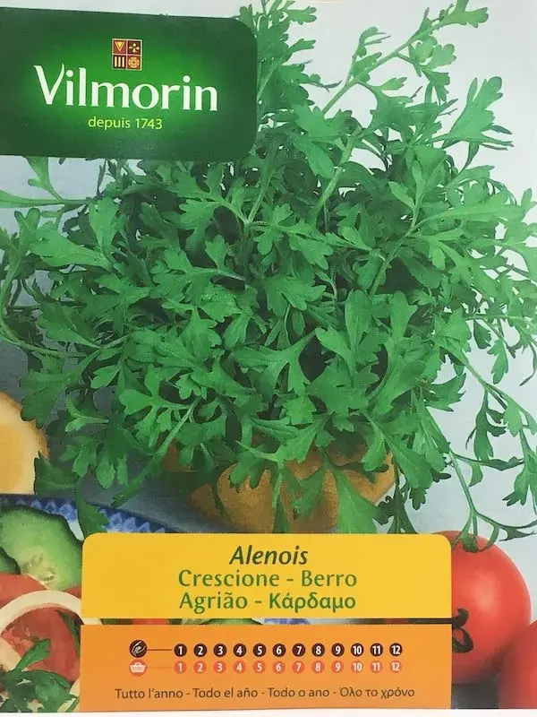 Sobre Semillas Vilmorin Berro hoja de perejil1