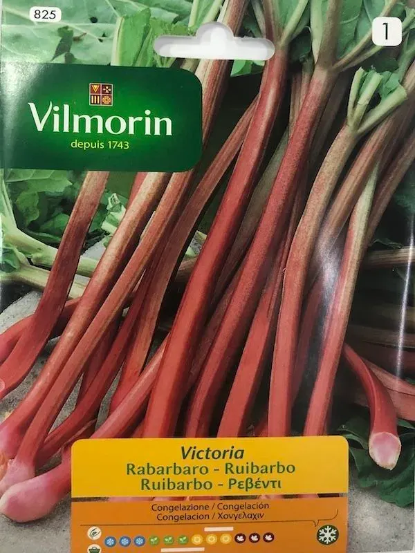 Sobre Semillas Vilmorin Ruibarbo1