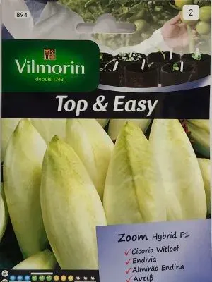 Sobre Semillas Vilmorin Endivia Witloof H1 híbrida1