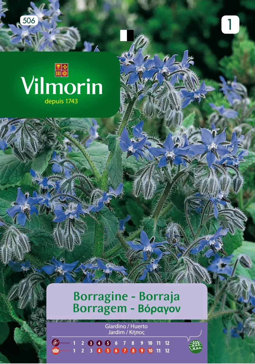 Sobre Semillas Vilmorin Borraja1