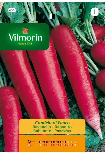 Sobre Semillas Vilmorin Rabanito Alargado candela de fuego1