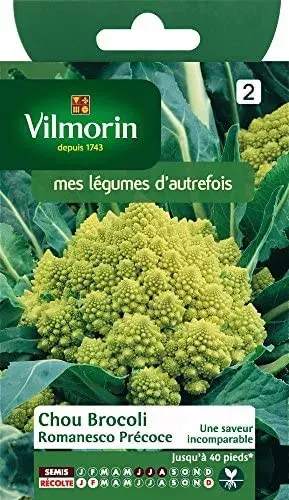 Sobre Semillas Vilmorin Coliflor Romanesco1