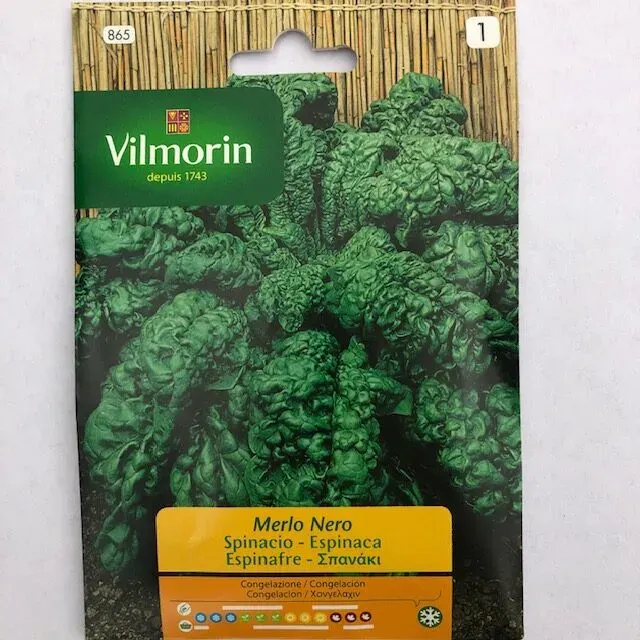 Sobre Semillas Vilmorin Espinaca Merlo Nero1