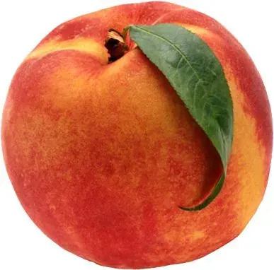 Árbol Frutal Durazno American Nectar1