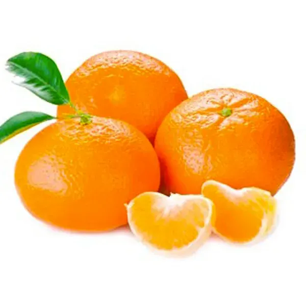 Árbol Frutal Mandarino Clementina1