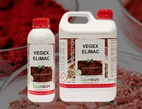 Idai Vegex Elimac 250 cc1