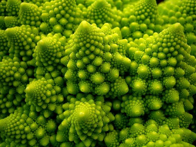 Semillas Brocoli Romanesco 2 gr1