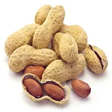 Semillas Mani 20 gr2