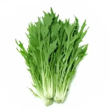 Semillas Mizuna Verde 3 gr1