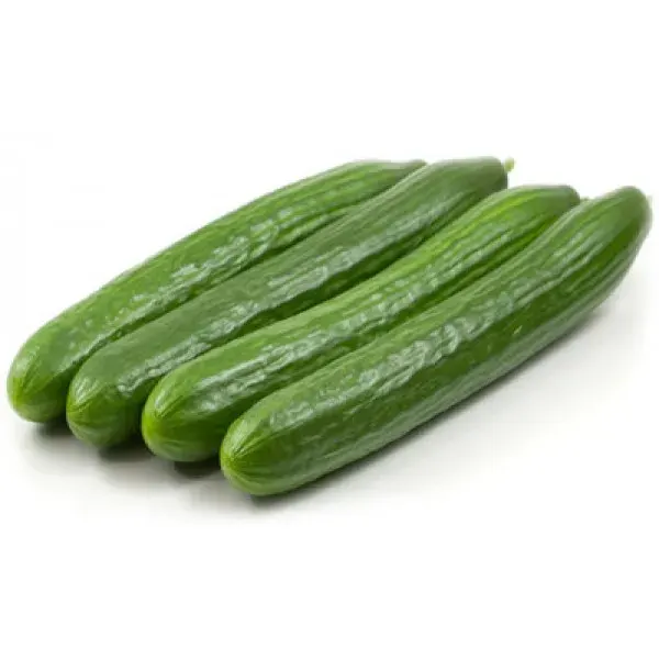 Semillas Pepino Alaska 10 semillas1