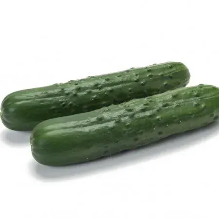 Semillas Pepino Caman 10 semillas1