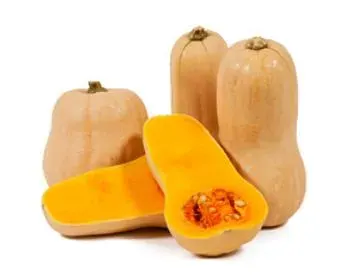 Semillas Zapallo Butternut 3 gr1