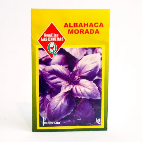Semillas Sobre Las Encinas Albahaca Morada1