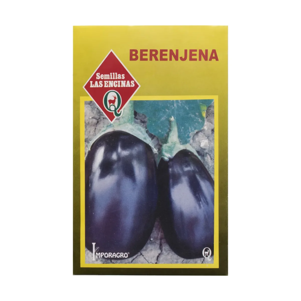 Semillas Sobre Las Encinas Berenjena1