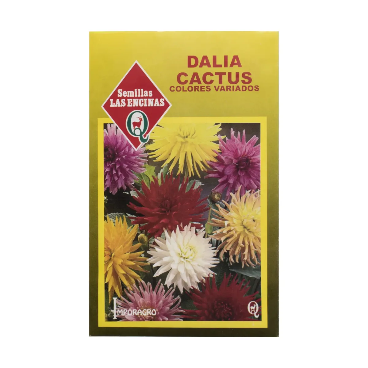 Semillas Sobre Las Encinas Dalia Cactus1