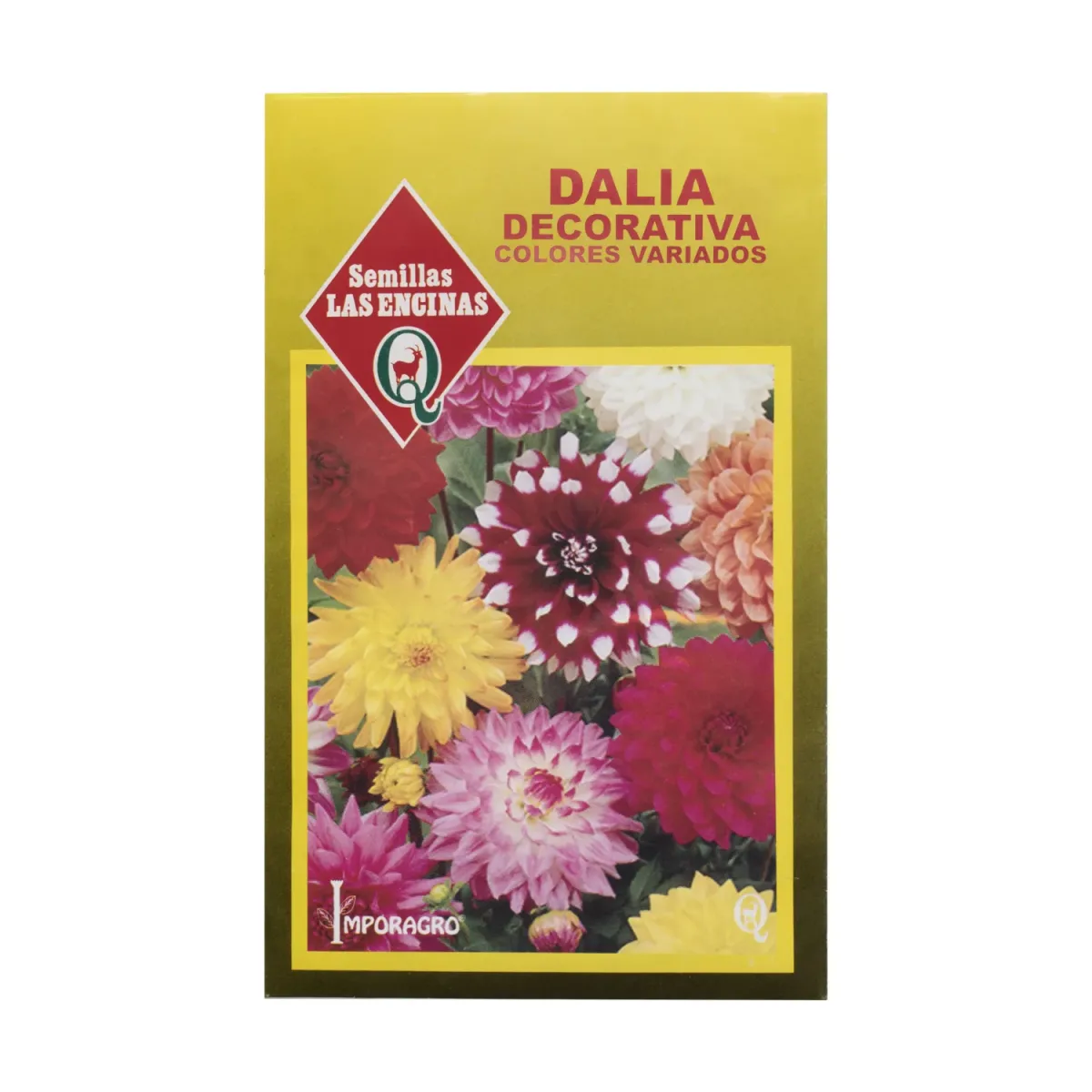 Semillas Sobre Las Encinas Dalia Decorativa1